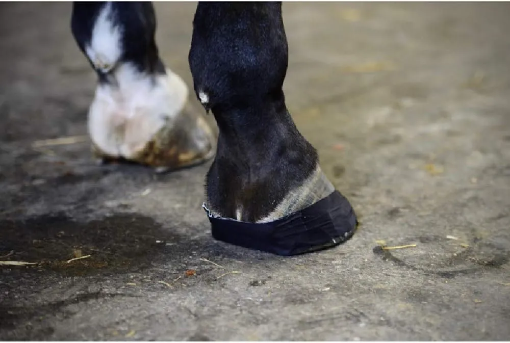 Tesa 4541 protection sabot cheval ruban adhésif toile haute résistance